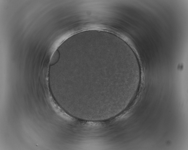 X0000110720954200907101401