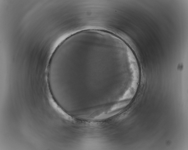 X0000110720958200907101401