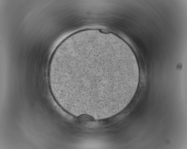 X0000110720959200907101401