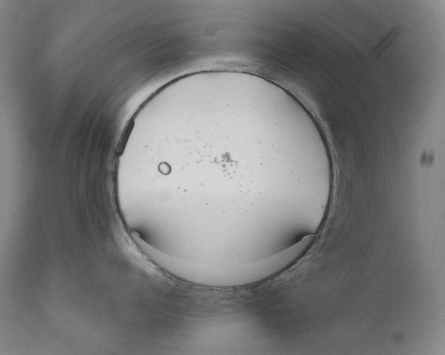 X0000110720960200907101401