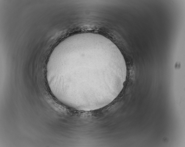 X0000110720961200907101400