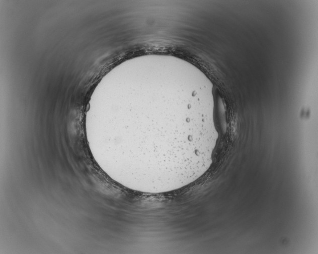 X0000110720964200907101400