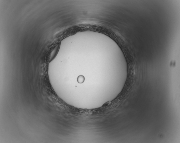 X0000110720965200907101400