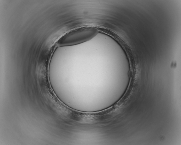 X0000110720969200907101400