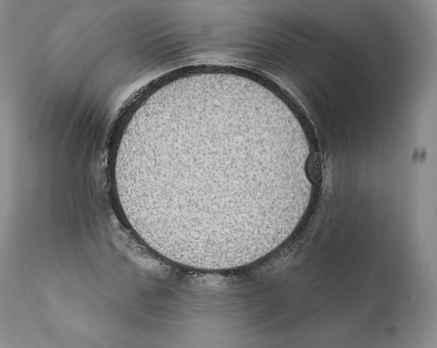 X0000110720971200907101400