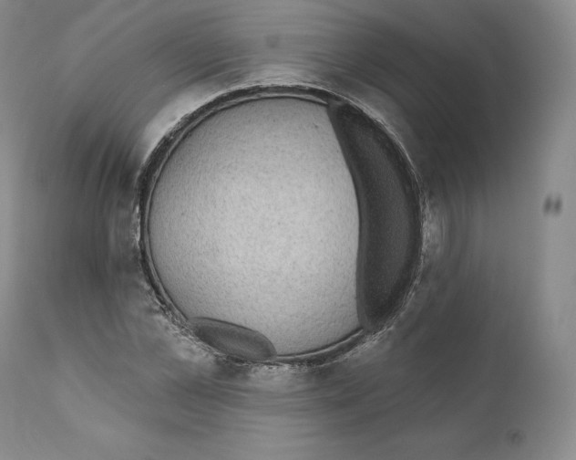 X0000110720973200907101400