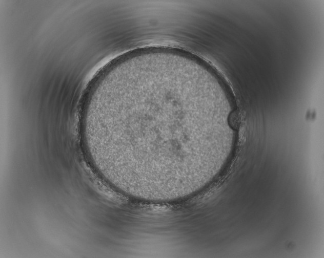 X0000110720975200907101400