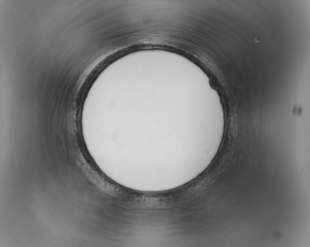 X0000110720976200907101400