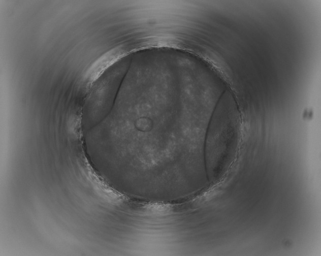 X0000110720977200907101400