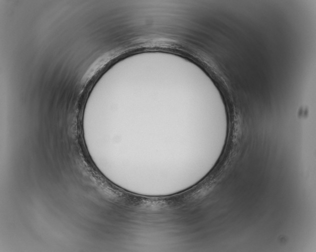 X0000110720978200907101400