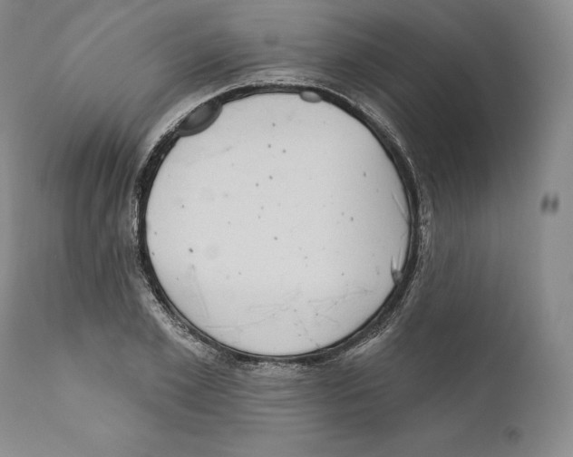 X0000110720981200907101400