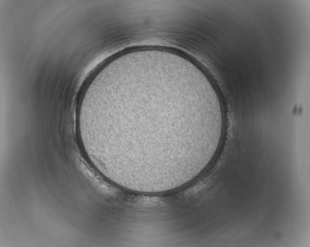 X0000110720982200907101400