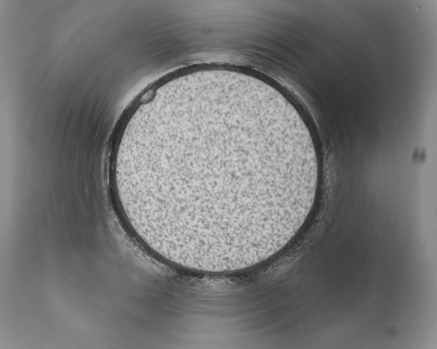 X0000110720983200907101400