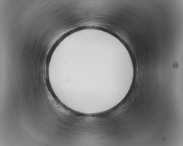 X0000110720984200907101400