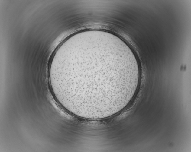 X0000110720986200907101400