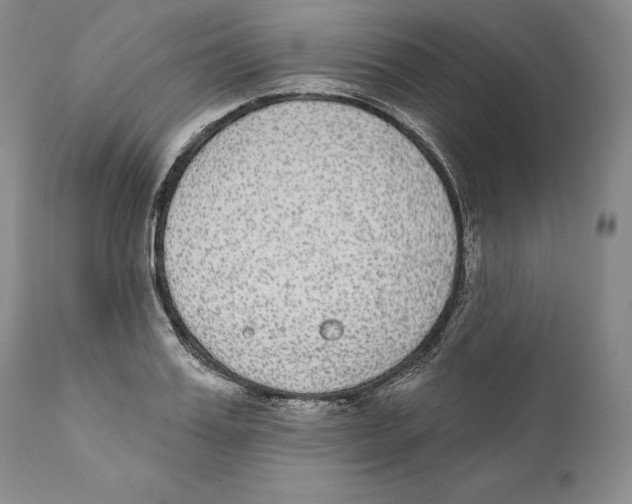 X0000110720987200907101400