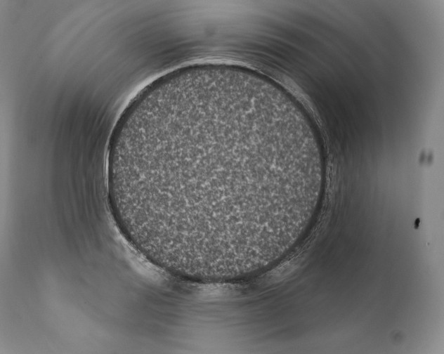 X0000110720988200907101400