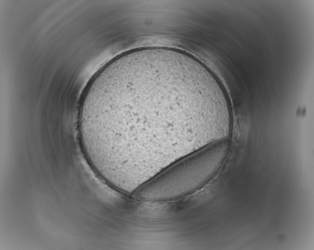 X0000110720997200907101359