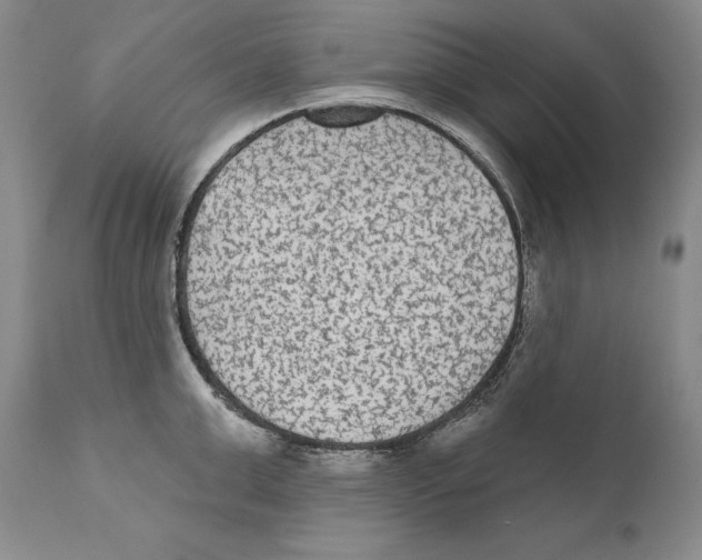 X0000110720999200907101359