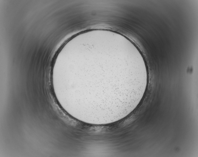 X0000110721000200907101359