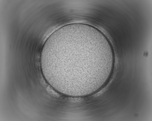 X0000110721001200907101359