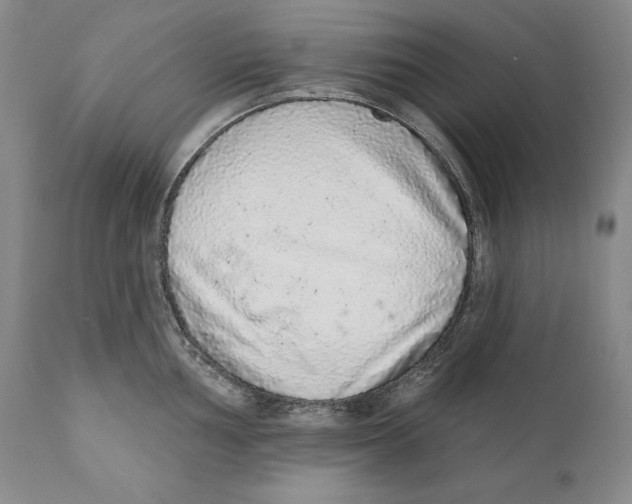 X0000110721002200907101359