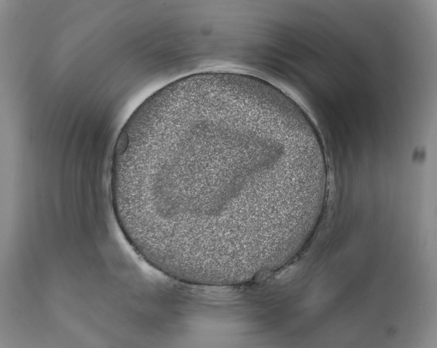 X0000110721007200907101359