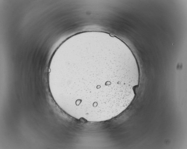 X0000110721008200907101359