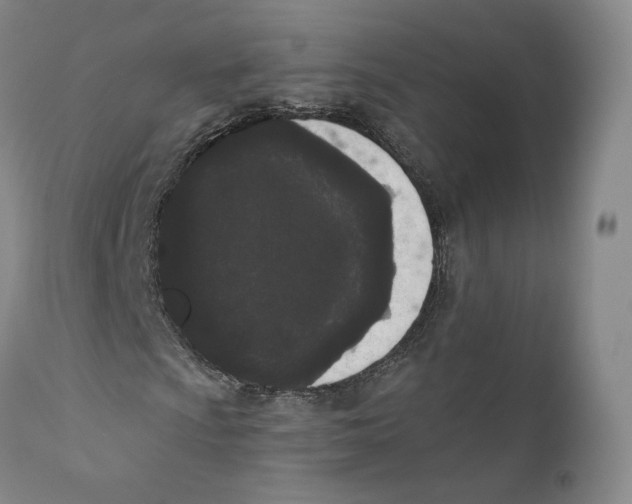 X0000110721009200907101359