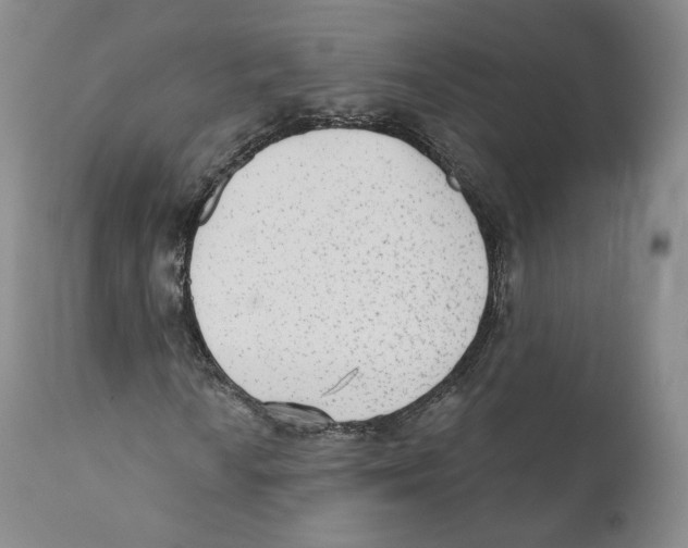 X0000110721010200907101359