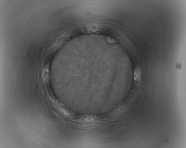 X0000110721011200907101359