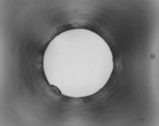 X0000110721012200907101359