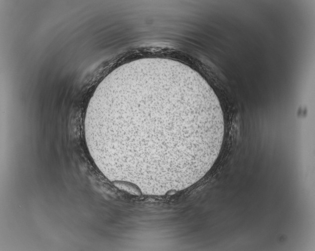 X0000110721014200907101359