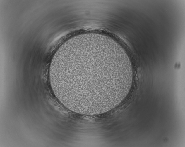 X0000110721015200907101359