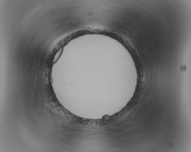 X0000110721016200907101359