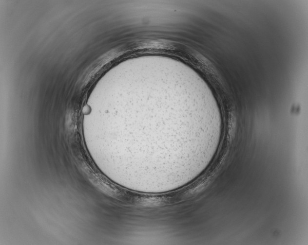 X0000110721017200907101359