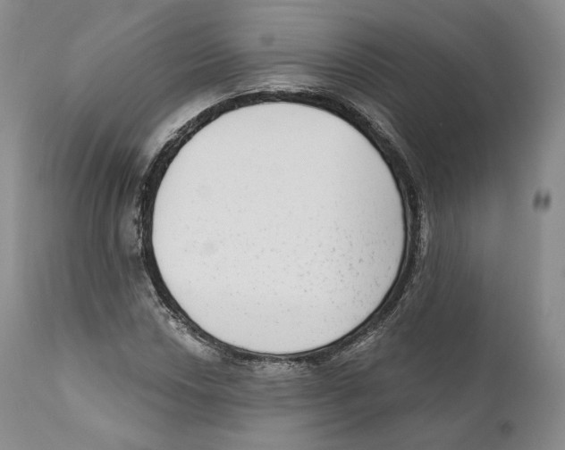 X0000110721018200907101359