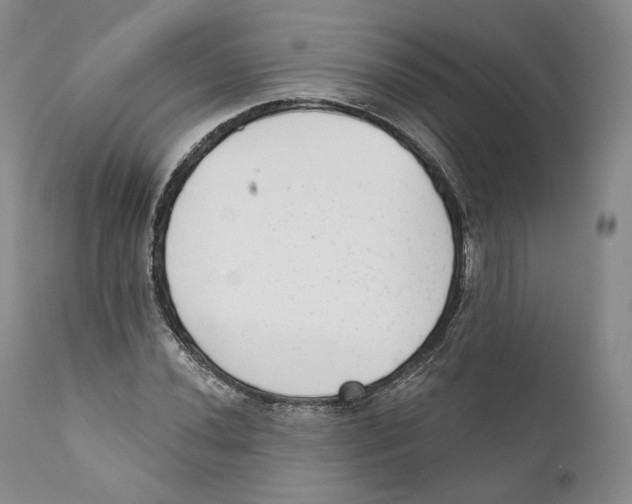 X0000110721020200907101359