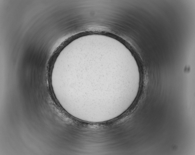 X0000110721022200907101359