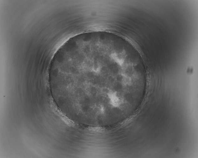 X0000110721023200907101359