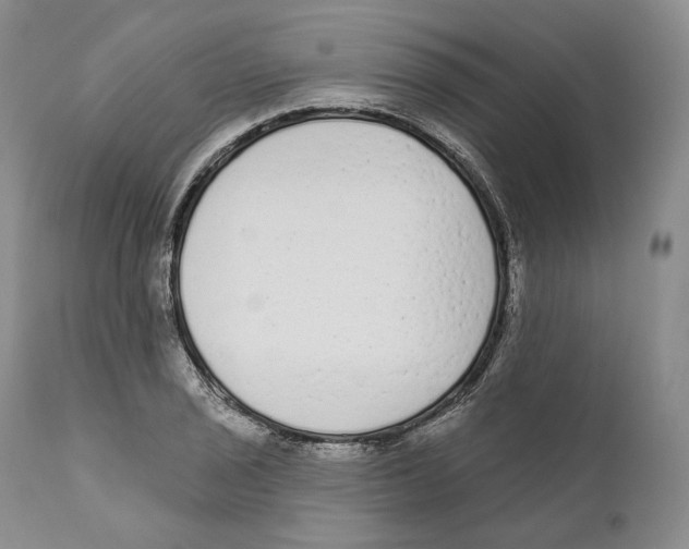 X0000110721029200907101359