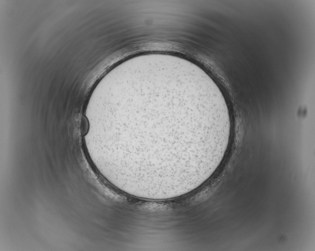 X0000110721033200907101359