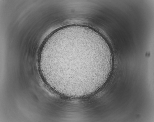 X0000110721035200907101359