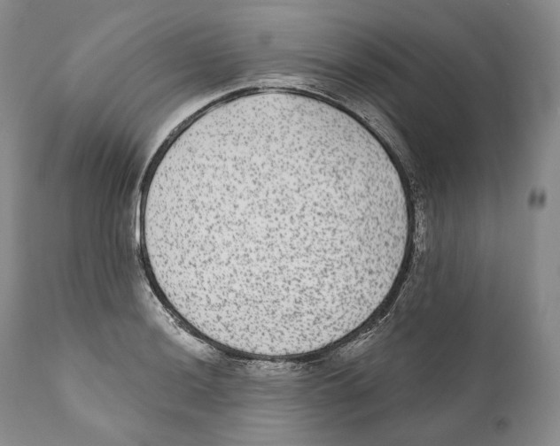 X0000110721036200907101359