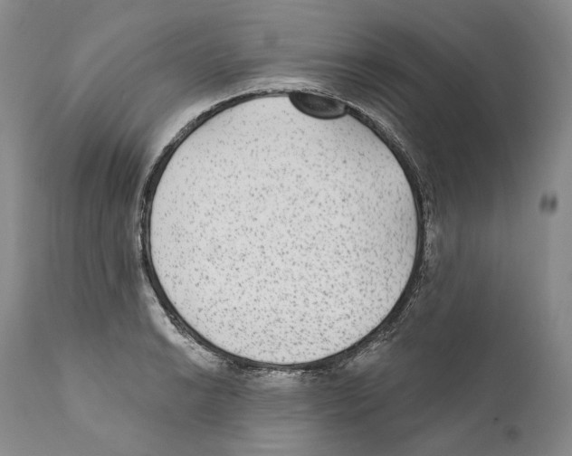 X0000110721038200907101359