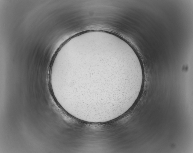 X0000110721040200907101359