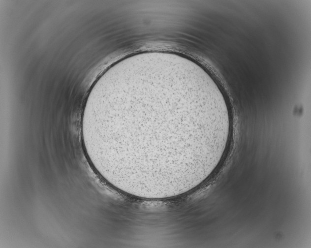 X0000110721041200907101359