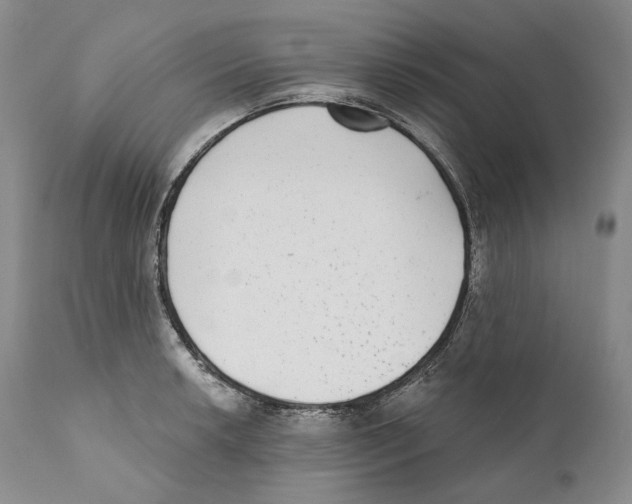 X0000110721042200907101359