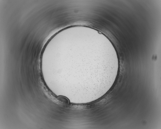 X0000110721044200907101359