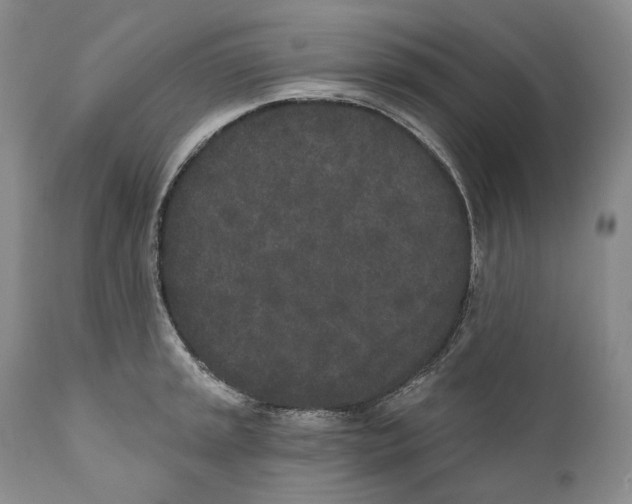 X0000110721045200907101359